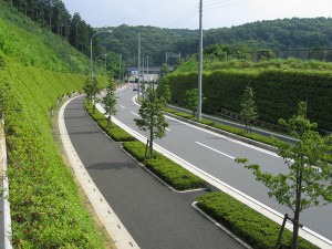 川寺上野